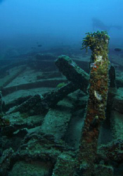 Haunting and gloomy this photo was taken at Anilao, Batan... by Jon Aguirre 